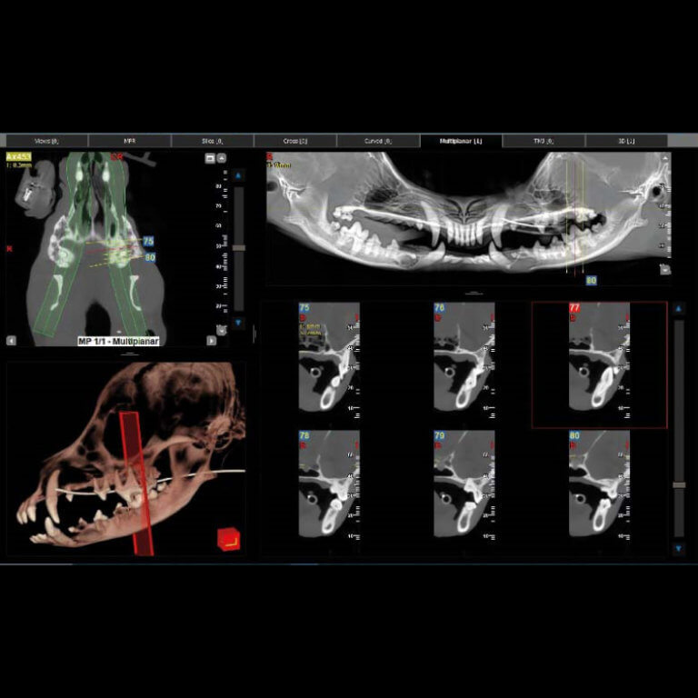 camosci-nnt-software-3